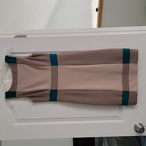 Maggy London Sleeveless Color Block Dress